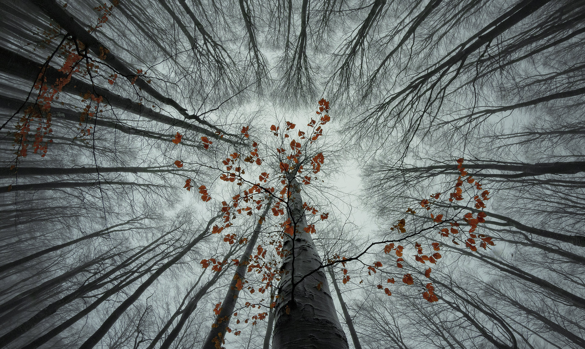 фотографски пътувания
